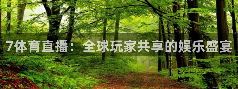 7体育直播：全球玩家共享的娱乐盛宴