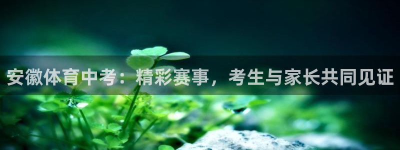 安徽体育中考：精彩赛事，考生与家长共同见证