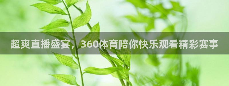 超爽直播盛宴，360体育陪你快乐观看精彩赛事