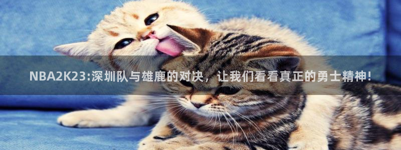 NBA2K23:深圳队与雄鹿的对决，让我们看看真正的勇士精神!