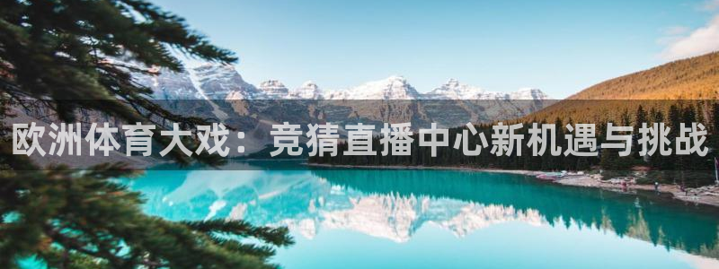 欧洲体育大戏：竞猜直播中心新机遇与挑战