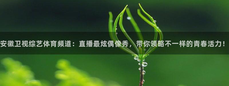 安徽卫视综艺体育频道：直播最炫偶像秀，带你领略不一样的青春活力！