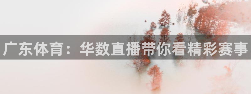 广东体育：华数直播带你看精彩赛事