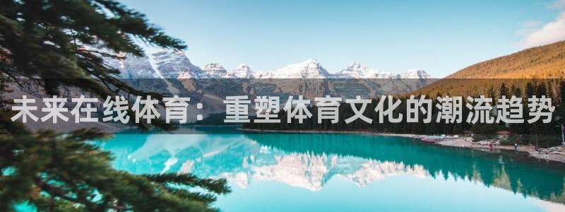 未来在线体育：重塑体育文化的潮流趋势