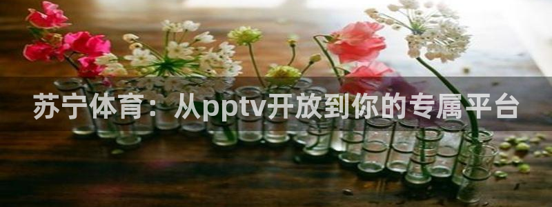 苏宁体育：从pptv开放到你的专属平台