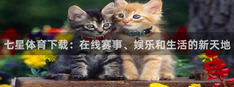 七星体育下载：在线赛事、娱乐和生活的新天地