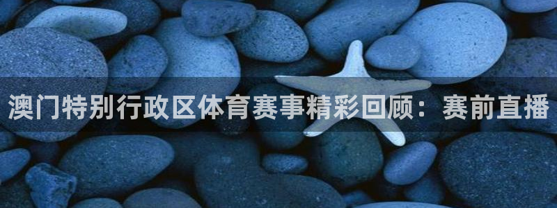 澳门特别行政区体育赛事精彩回顾：赛前直播