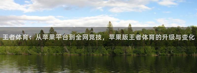 王者体育：从苹果平台到全网竞技，苹果版王者体育的升级与变化