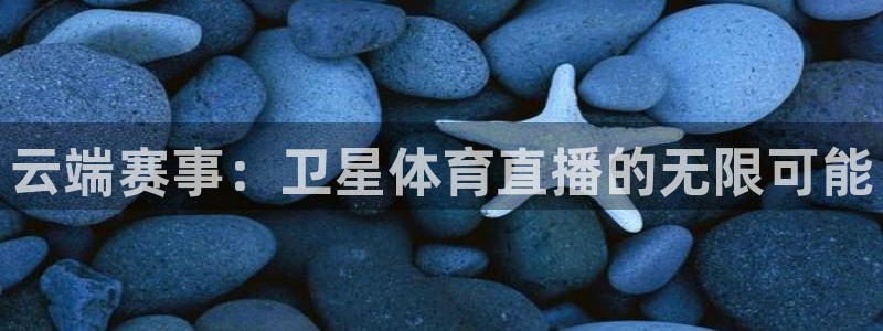 云端赛事：卫星体育直播的无限可能