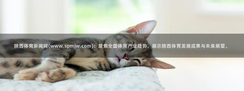 陕西体育新闻网(www.spmjw.com)：聚焦全国体育产业趋势，展示陕西体育发展成果与未来展望。