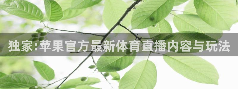独家:苹果官方最新体育直播内容与玩法