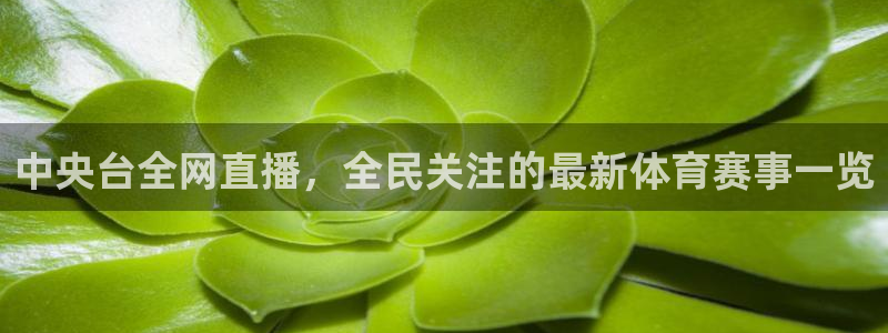 中央台全网直播，全民关注的最新体育赛事一览