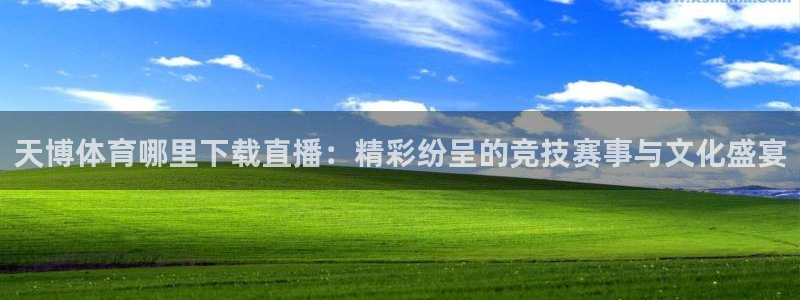 天博体育哪里下载直播：精彩纷呈的竞技赛事与文化盛宴