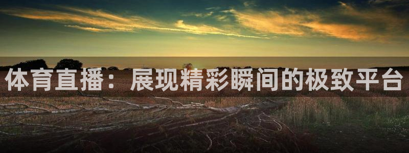 体育直播：展现精彩瞬间的极致平台