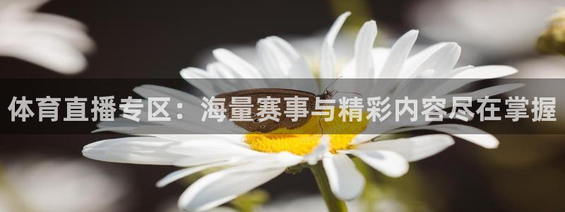 体育直播专区：海量赛事与精彩内容尽在掌握
