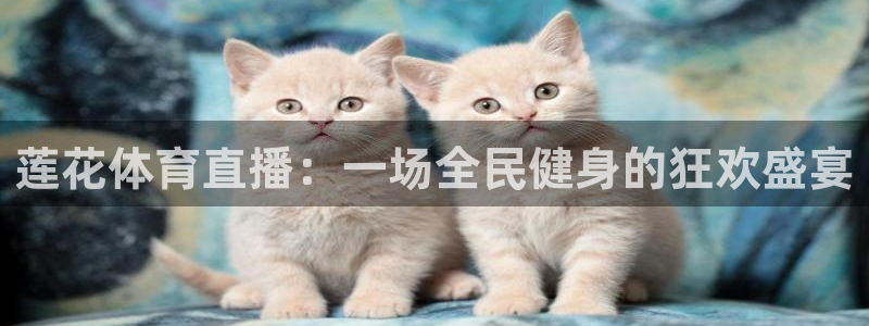 莲花体育直播：一场全民健身的狂欢盛宴