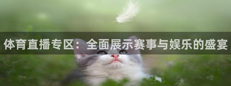 体育直播专区：全面展示赛事与娱乐的盛宴