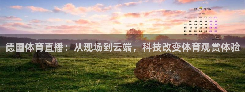 德国体育直播：从现场到云端，科技改变体育观赏体验