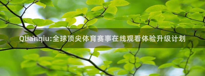 Qlianqiu:全球顶尖体育赛事在线观看体验升级计划