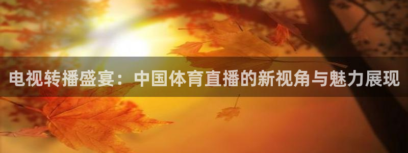 电视转播盛宴：中国体育直播的新视角与魅力展现