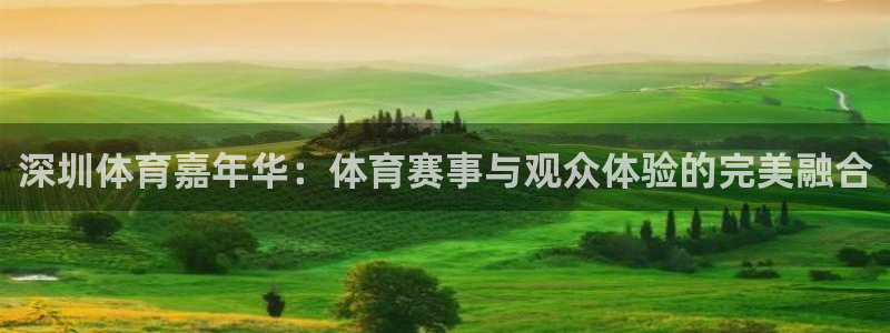 深圳体育嘉年华：体育赛事与观众体验的完美融合