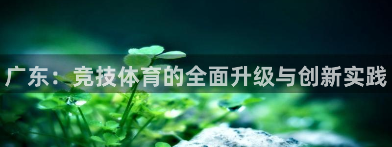 广东：竞技体育的全面升级与创新实践