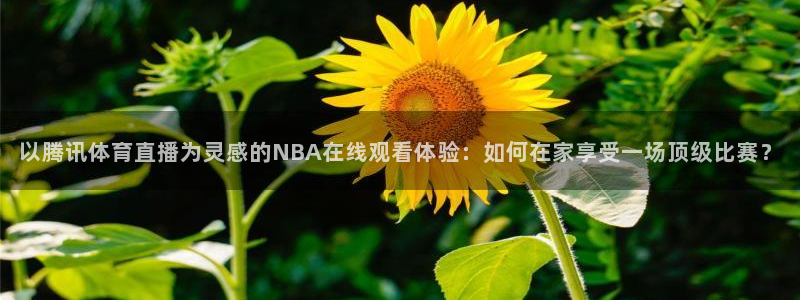 以腾讯体育直播为灵感的NBA在线观看体验：如何在家享受一场顶级比赛？