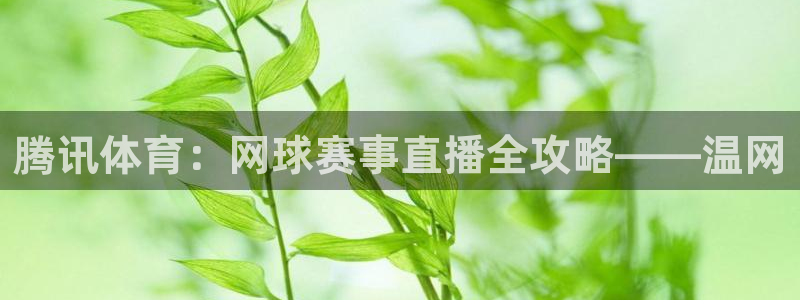 腾讯体育：网球赛事直播全攻略——温网