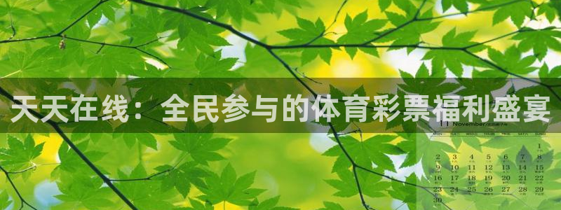 天天在线：全民参与的体育彩票福利盛宴