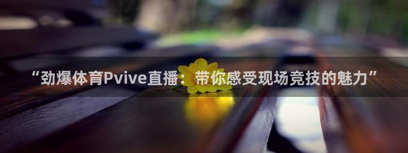 “劲爆体育Pvive直播：带你感受现场竞技的魅力”