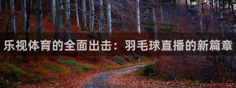 乐视体育的全面出击：羽毛球直播的新篇章