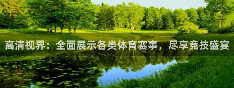 高清视界：全面展示各类体育赛事，尽享竞技盛宴