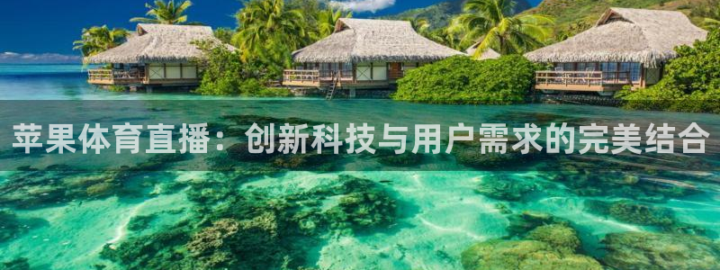 苹果体育直播：创新科技与用户需求的完美结合