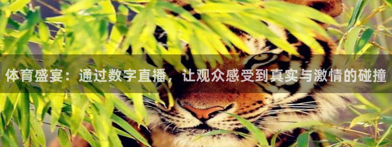体育盛宴：通过数字直播，让观众感受到真实与激情的碰撞