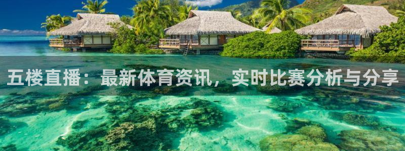 五楼直播：最新体育资讯，实时比赛分析与分享