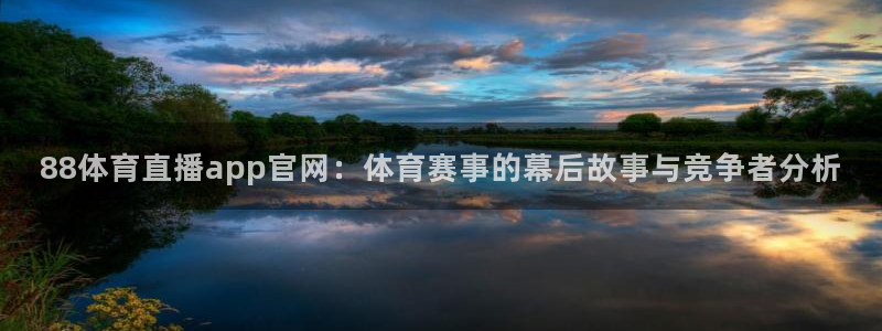 88体育直播app官网：体育赛事的幕后故事与竞争者分析