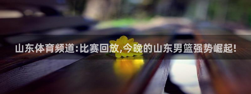 山东体育频道:比赛回放,今晚的山东男篮强势崛起!